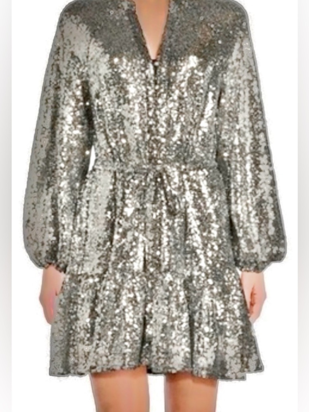 Alex Marie Shimmering Silver Sequin 
V-Neck Long Sleeve Mini Dress ZB14